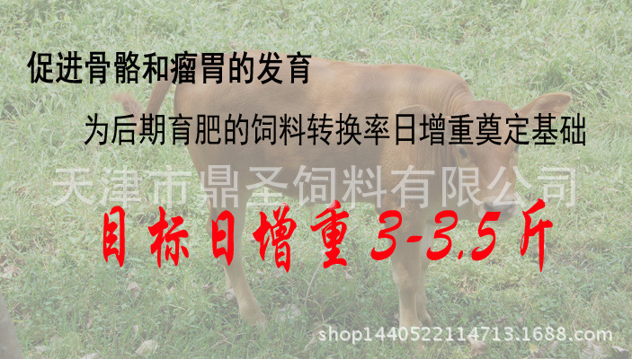 2、育肥牛每天需要多少飼料/肉牛每天吃多少飼料